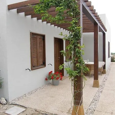 With Shared Pool And Views